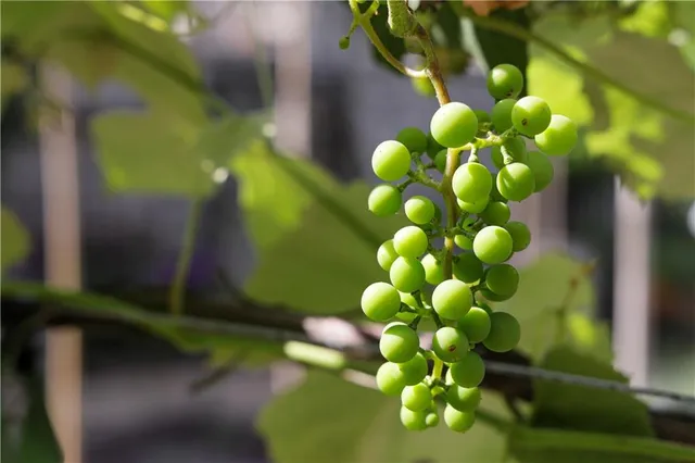 $4,975,000 | 52 Timberhill Drive, Sewickley Heights, PA 15143