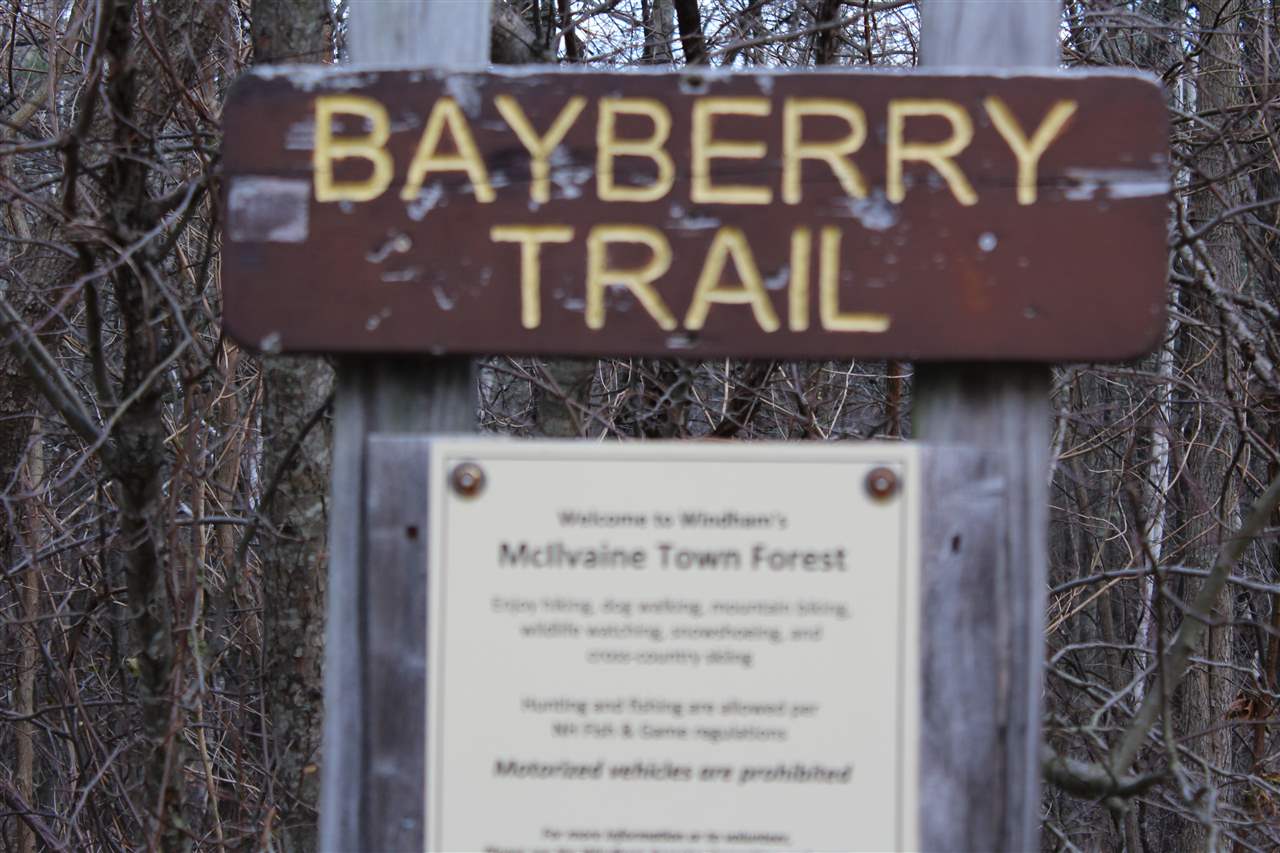 0 Bayberry Road Windham, NH 03087 - Photo 8 of 11