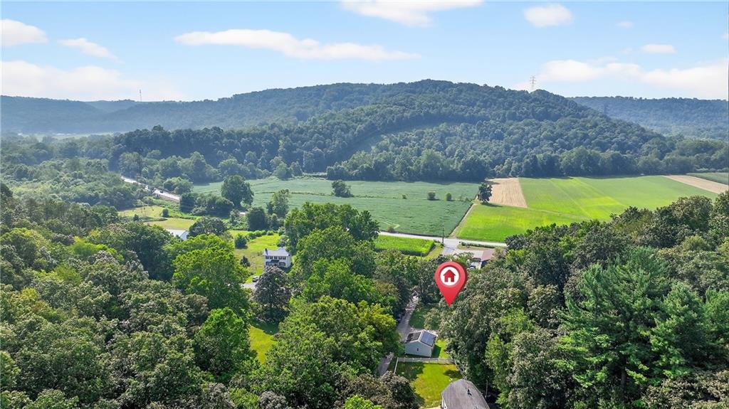 111 A Cowpath Road Aliquippa, PA 15001 - Photo 44 of 46 a view of a bird bath