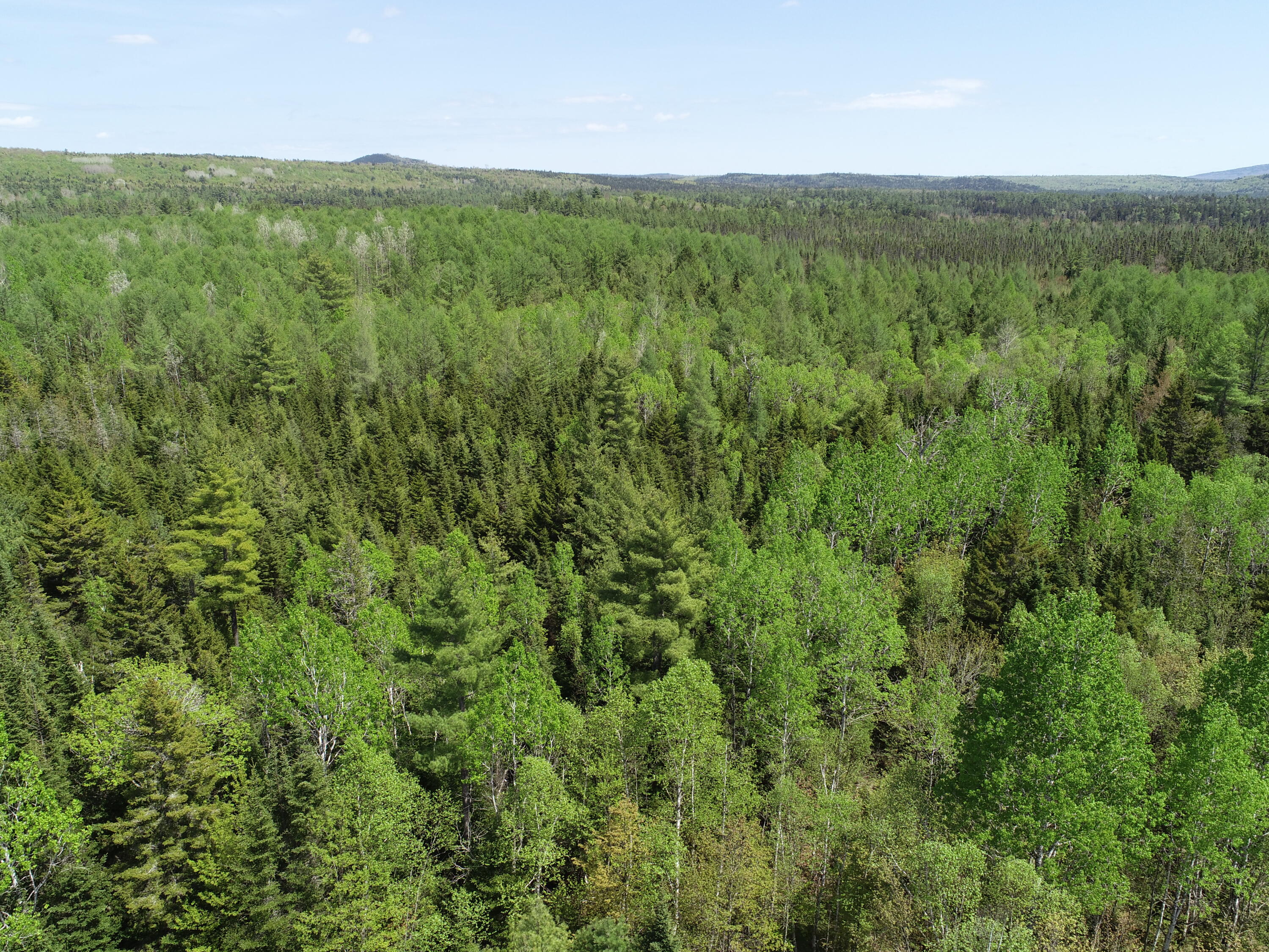 249 Dead End Road West Forks, ME 04985 - Photo 68 of 72 DJI_0018