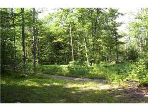0 Shepherd Hill Road Worcester, VT 05682 - Photo 2 of 2