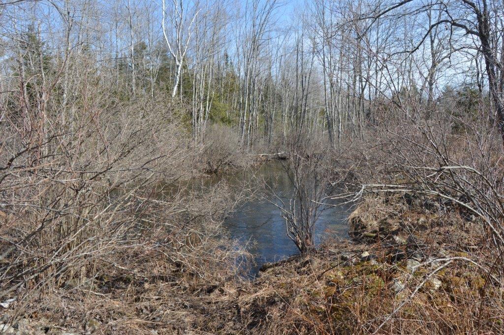 247 Whitcomb Road Belfast, ME 04915 - Photo 16 of 25 Photo