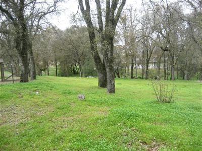 29962 Post Oak Road Tollhouse, CA 93667 - Photo 9 of 17 Gallery Image 9