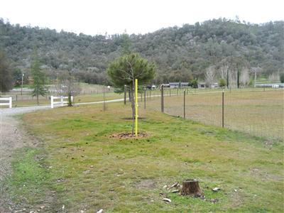 29962 Post Oak Road Tollhouse, CA 93667 - Photo 10 of 17 Gallery Image 10