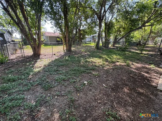 a view of a tree in the middle of a yard