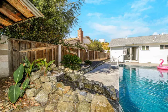 a view of a yard with plants and large trees