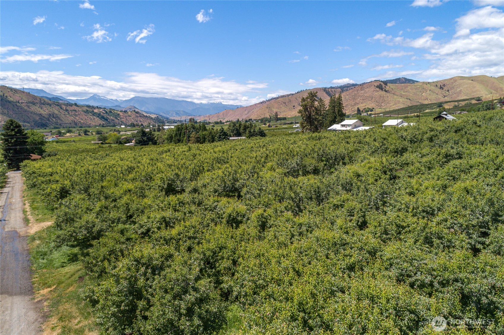0 Red Apple Road Cashmere, WA 98815 - Photo 38 of 38 a view of a lush green outdoor space with lots of trees