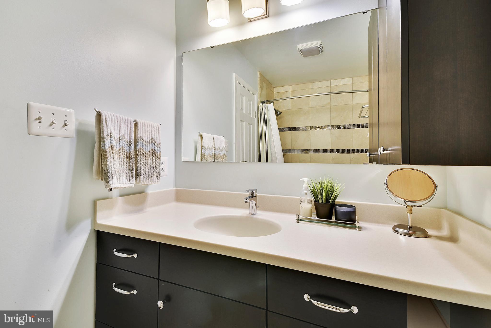 2408 Black Cap Lane Reston, VA 20191 - Photo 23 of 30 Bath