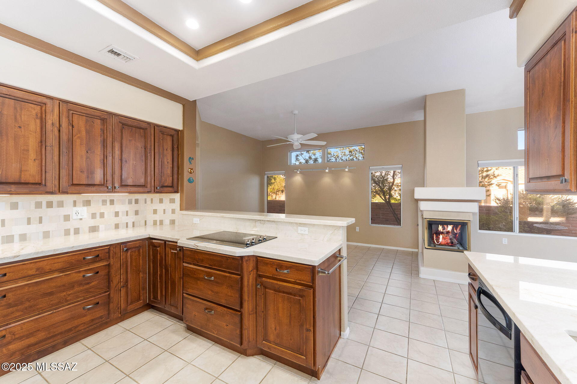 1848 East Crown Ridge Way Tucson, AZ 85755 - Photo 10 of 50