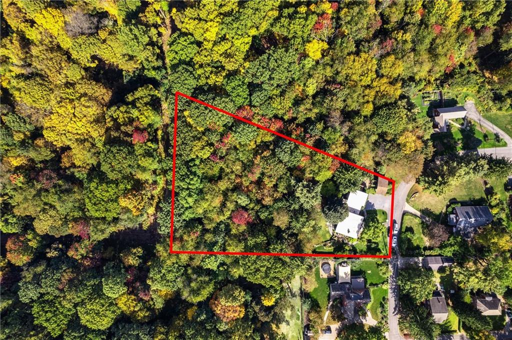 17 Penhurst Road Pittsburgh, PA 15202 - Photo 40 of 42 a view of flowers in bunch