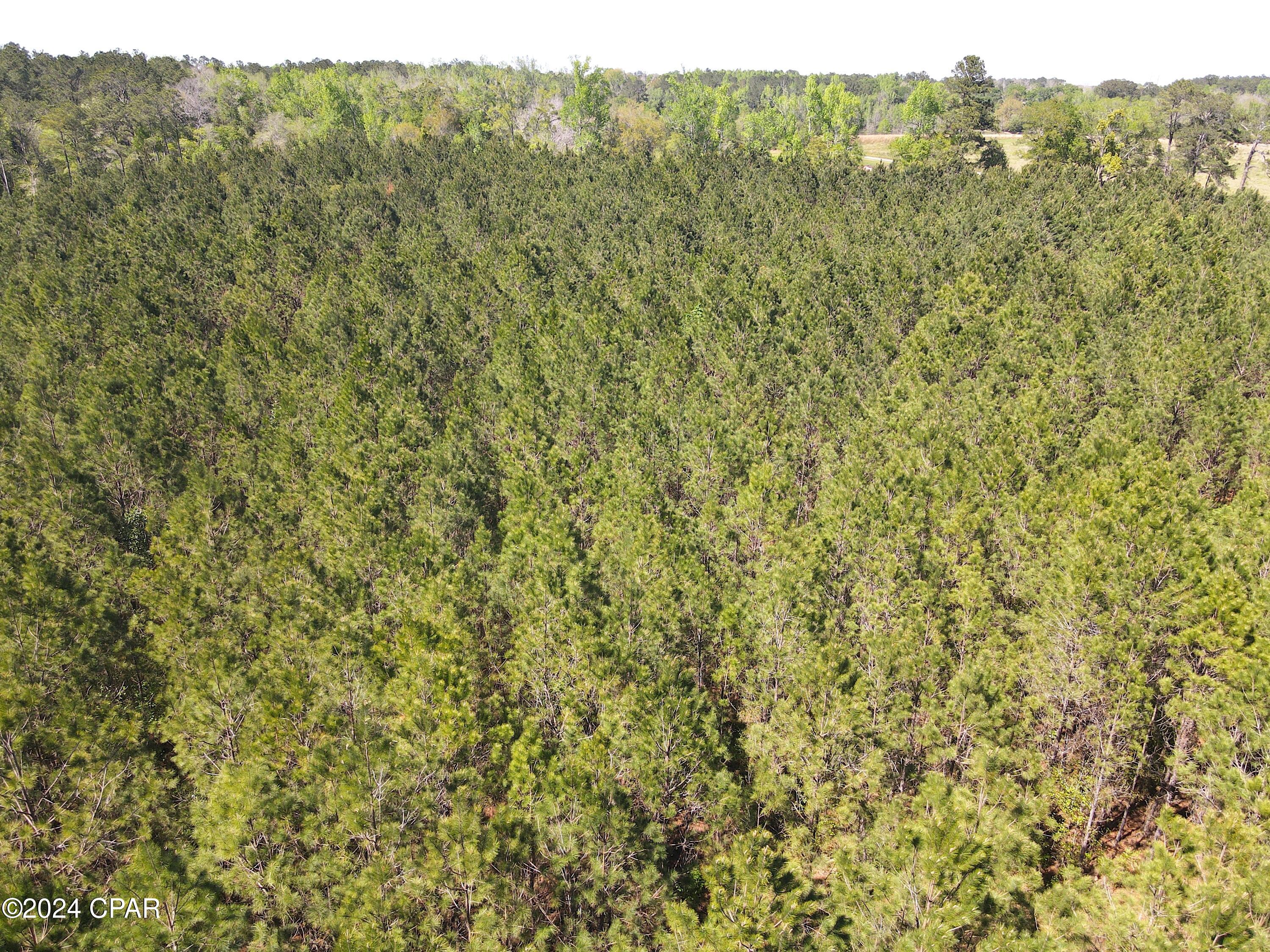 0 Kelly Farm Road, Unit 2 Havana, FL 32333 - Photo 17 of 17 Gallery Image 17