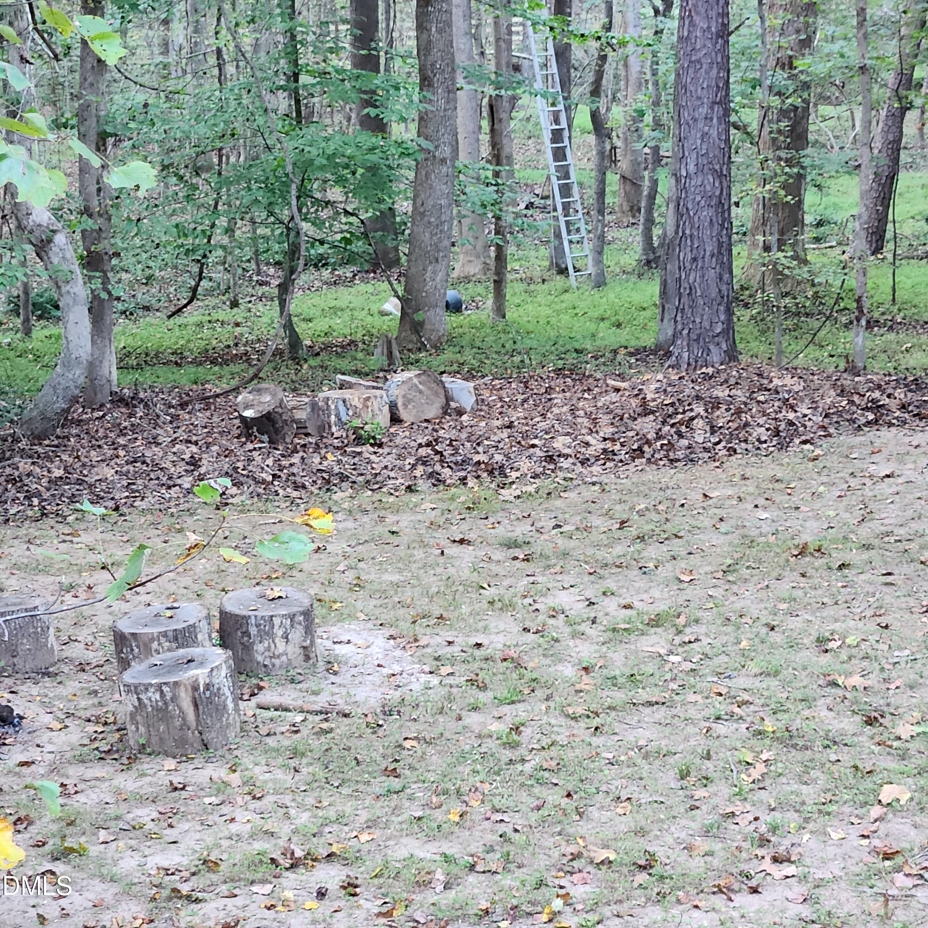 132 Waiters Way Youngsville, NC 27596 - Photo 29 of 30 a view of a forest with a tree