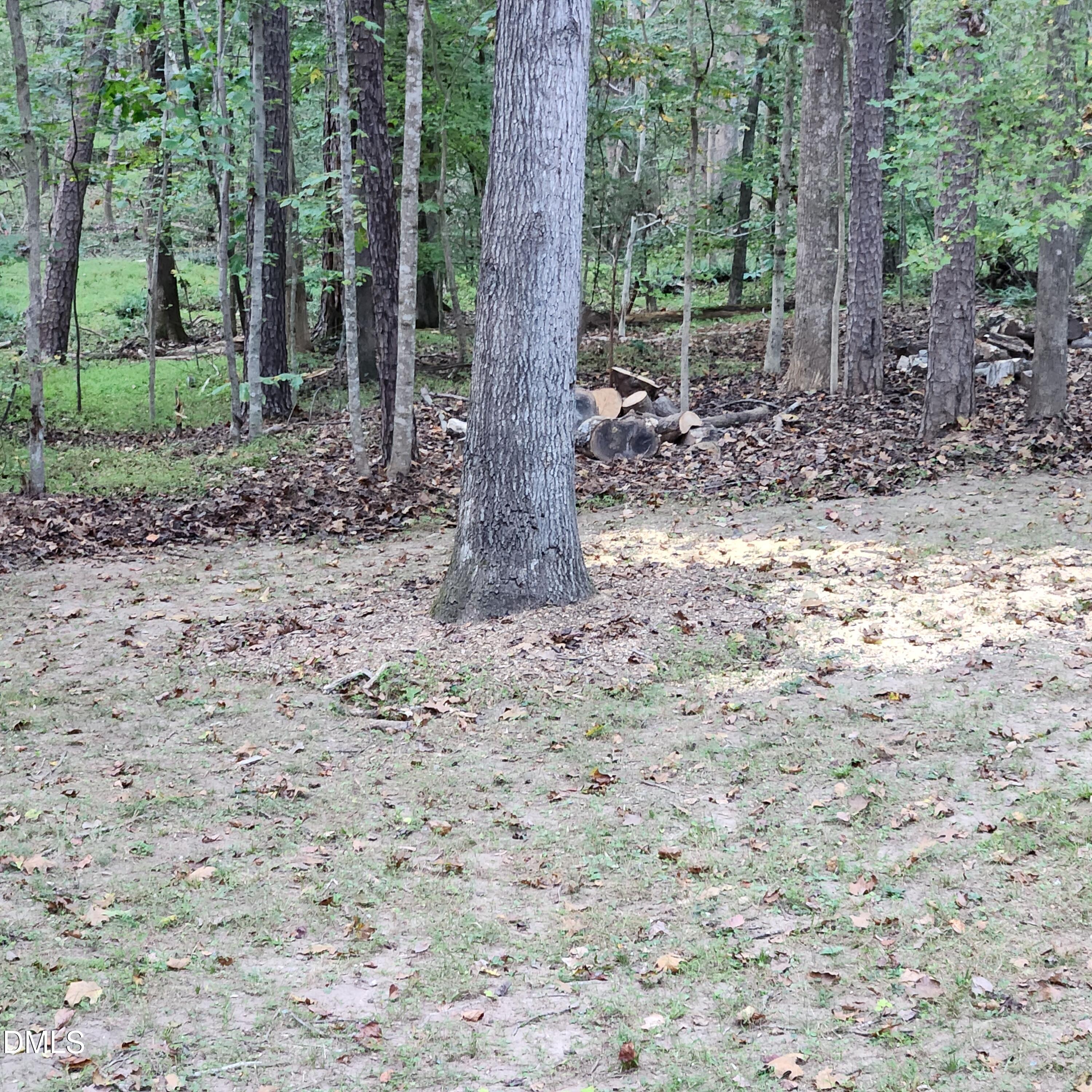 132 Waiters Way Youngsville, NC 27596 - Photo 30 of 30 a view of a forest with trees