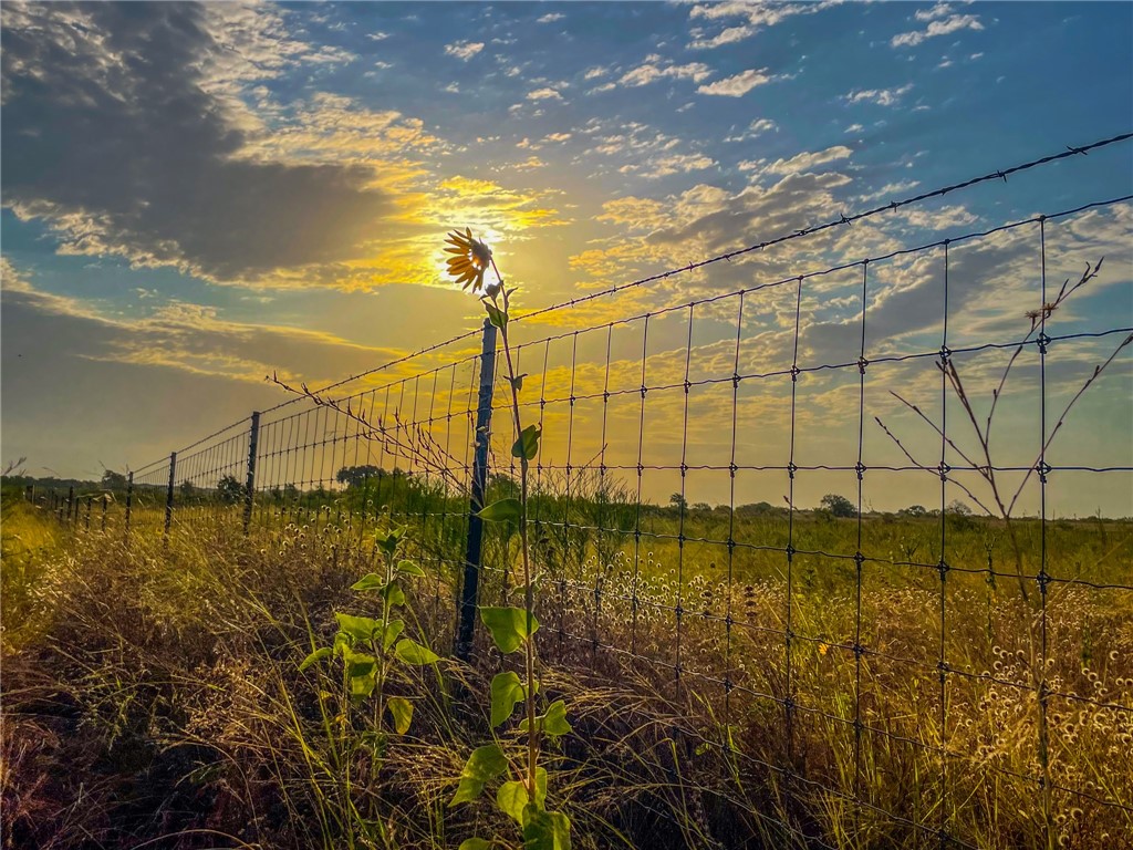 602 Cr 3215 Road Clifton, TX 76634 - Photo 30 of 32
