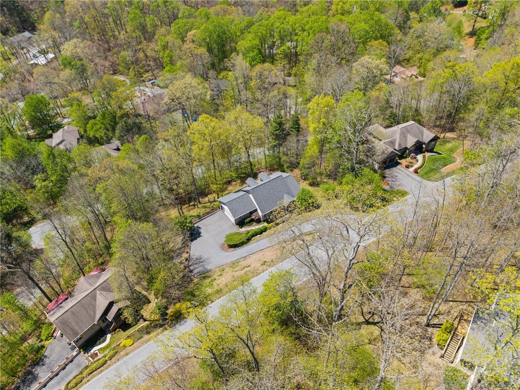 480 North Ridge Circle Boone, NC 28607 - Photo 49 of 50 a view of a yard with plants