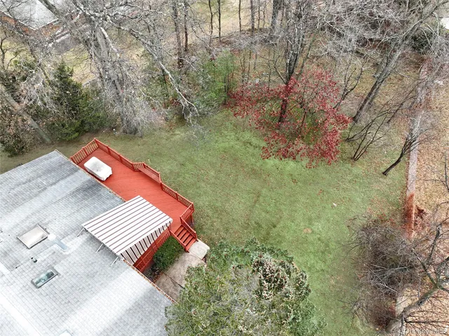 a view of a yard with plants