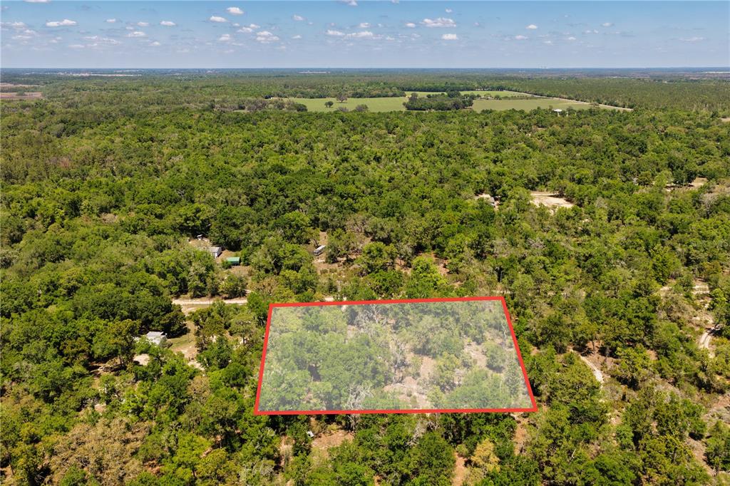 2 Northeast 125th Street Bronson, FL 32621 - Photo 3 of 19