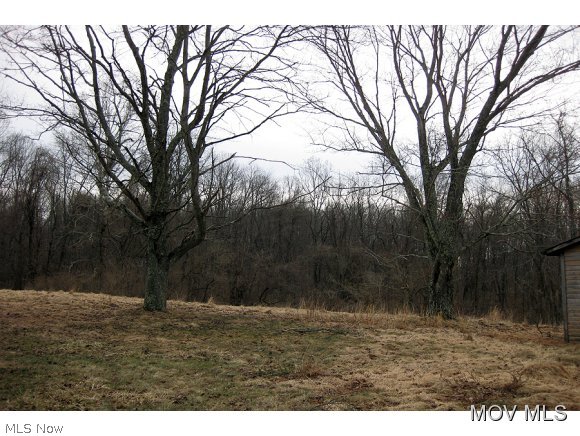 0 Rt 18 West Union West Union, WV 26456 - Photo 1 of 6 Land to Build on