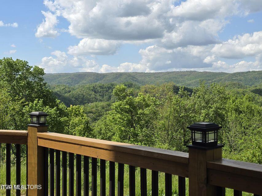 833 Duck Creek Road Sneedville, TN 37869 - Photo 7 of 60 7