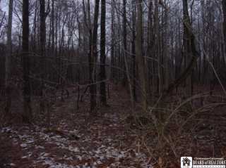 West Side Hill Road Ripley, NY 14775 - Photo 1 of 1