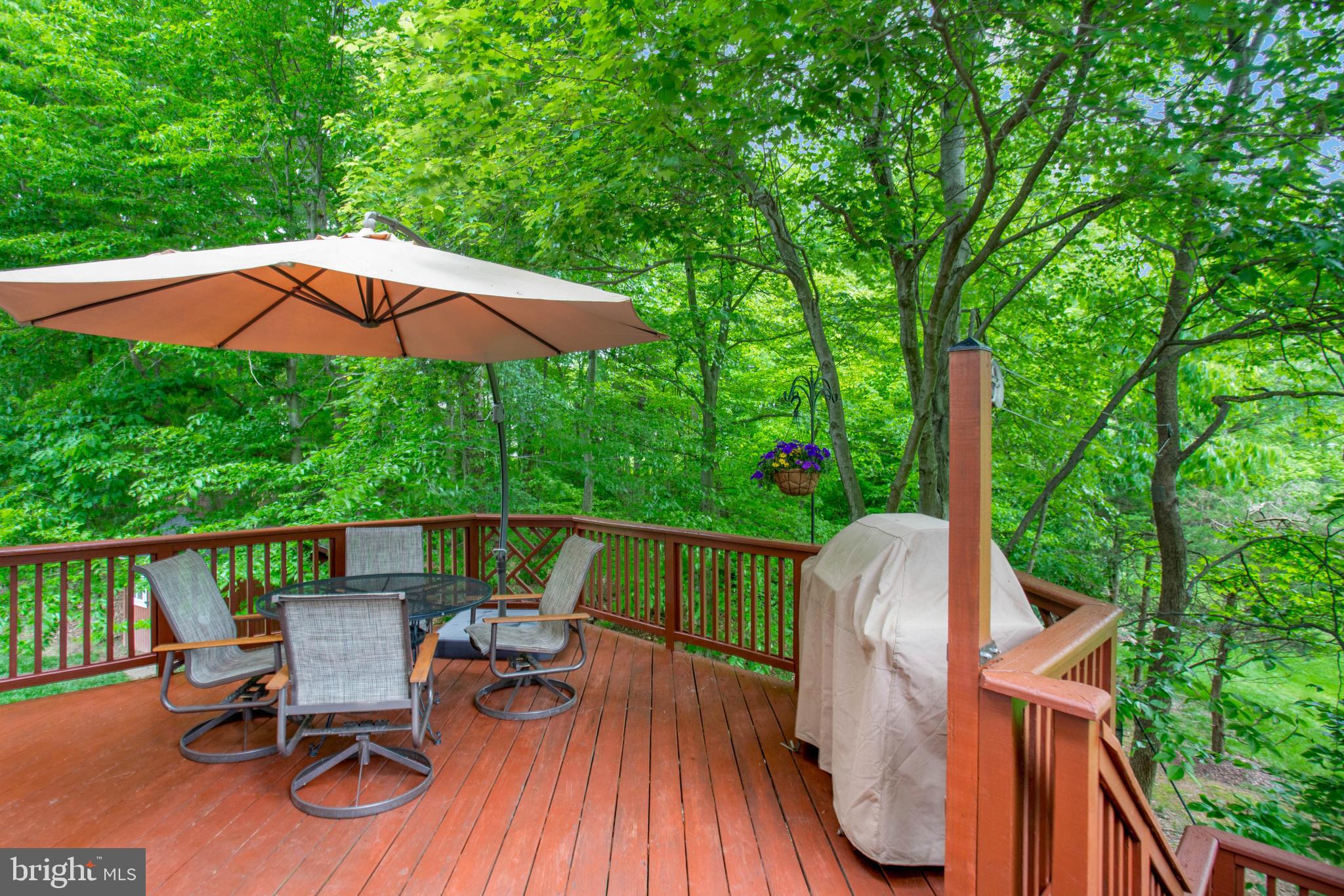 12304 Tavistock Court Laurel, MD 20708 - Photo 54 of 63 Gallery Image 54