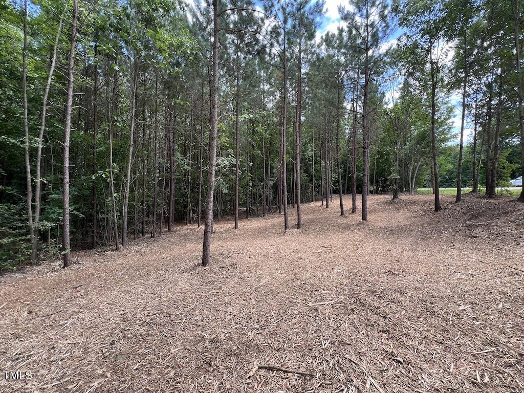 8 Peachtree Hills Road Spring Hope, NC 27882 - Photo 22 of 29 22