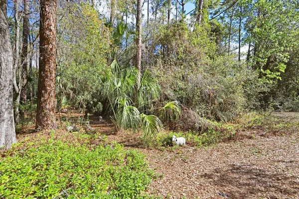 $1,150,000 | 12508 Twin Branch Acres Road, Tampa, FL 33626