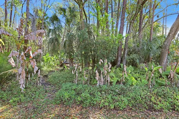 $1,150,000 | 12508 Twin Branch Acres Road, Tampa, FL 33626