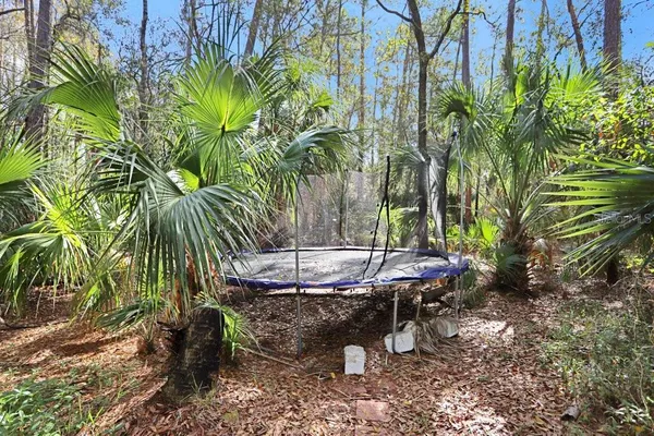 $1,150,000 | 12508 Twin Branch Acres Road, Tampa, FL 33626