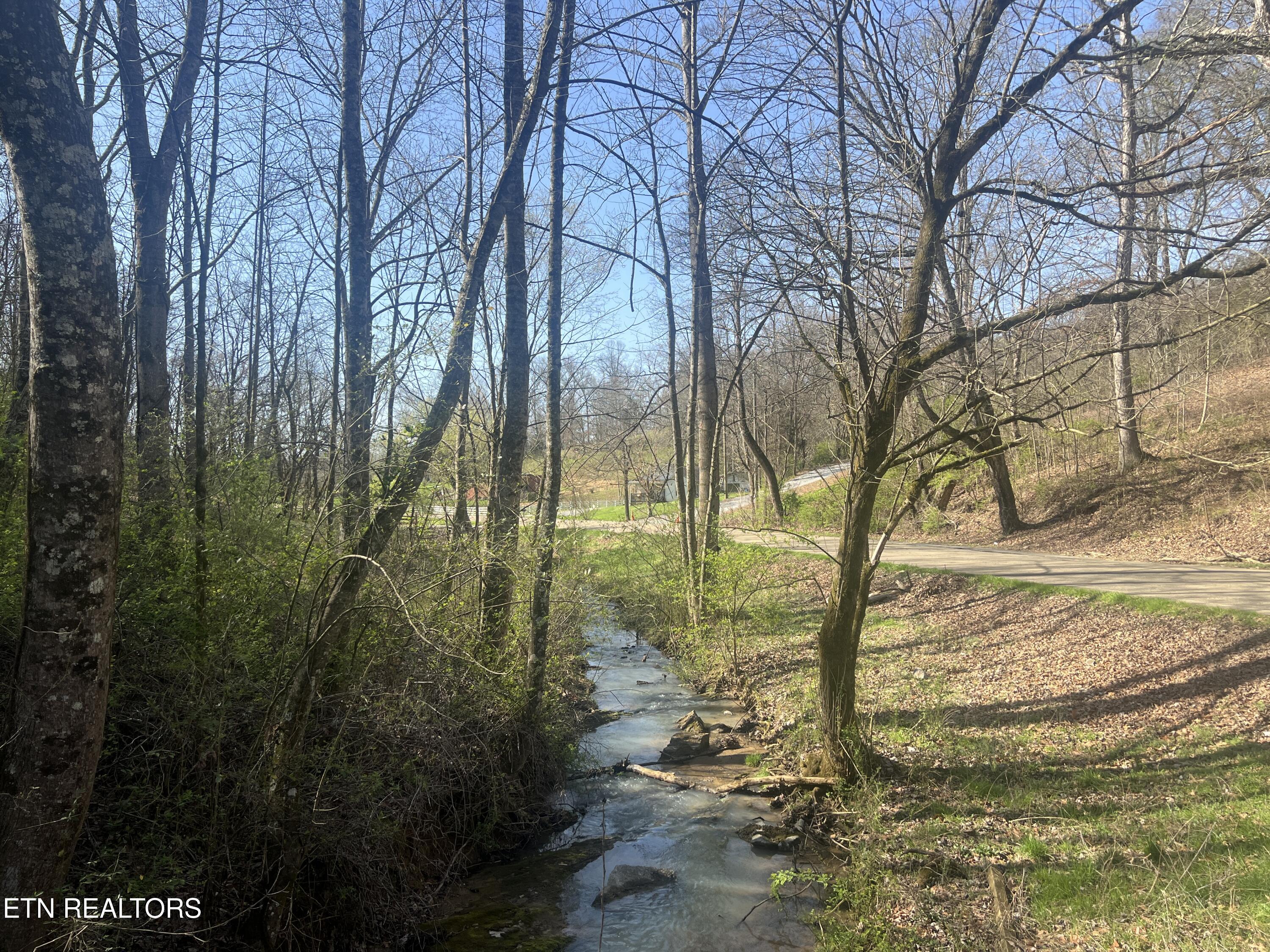 701 Old Witt Road Morristown, TN 37813 - Photo 2 of 5 IMG_5686