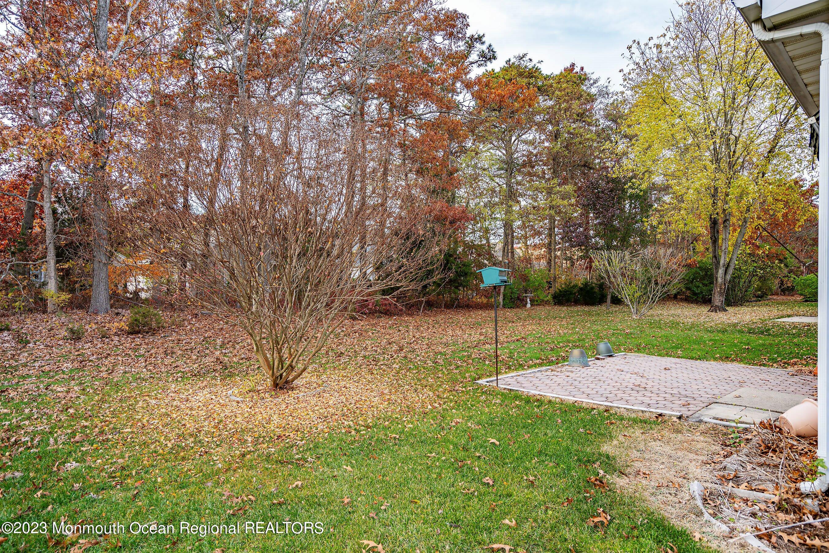 58 Sandpiper Road Barnegat, NJ 08005 - Photo 21 of 26 21-Rear Yard 1