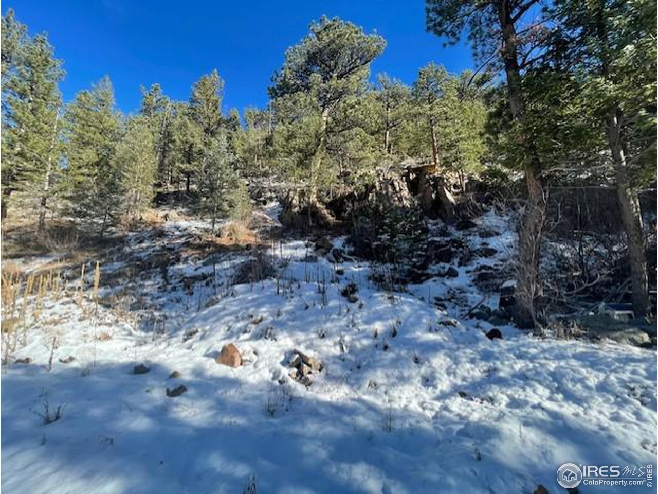 555 Riverside Drive Lyons, CO 80540 - Photo 3 of 6