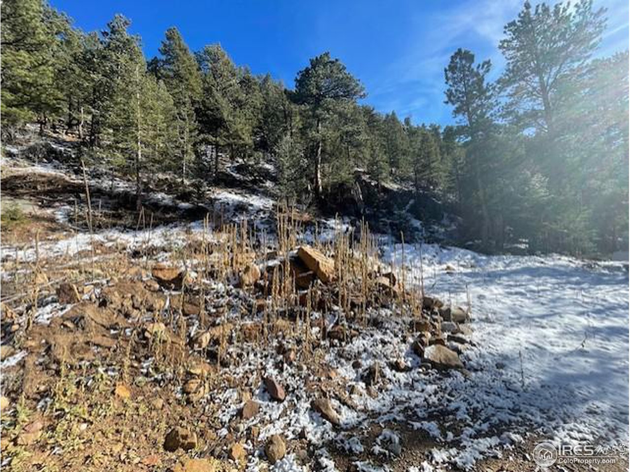 555 Riverside Drive Lyons, CO 80540 - Photo 4 of 6