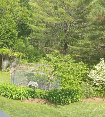 43 Webber Road Whately, MA 01039 - Photo 13 of 14