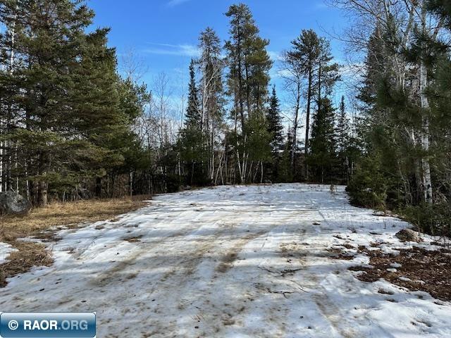 1687 Pine Street Road Ely, MN 55731 - Photo 2 of 18