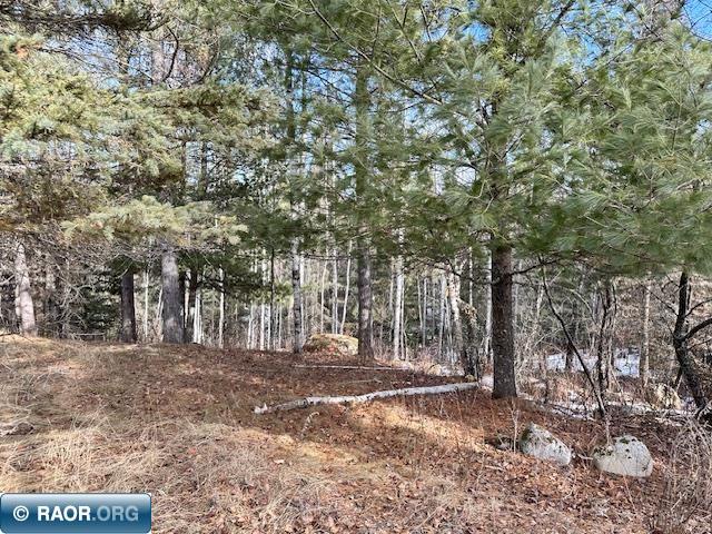 1687 Pine Street Road Ely, MN 55731 - Photo 3 of 18