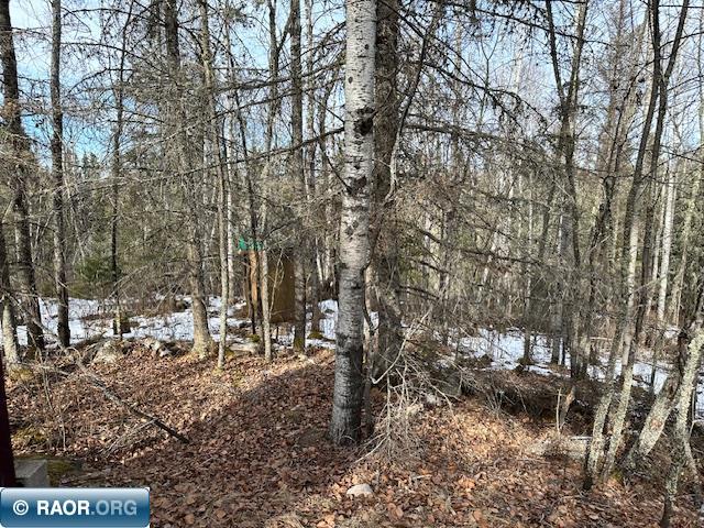 1687 Pine Street Road Ely, MN 55731 - Photo 5 of 18