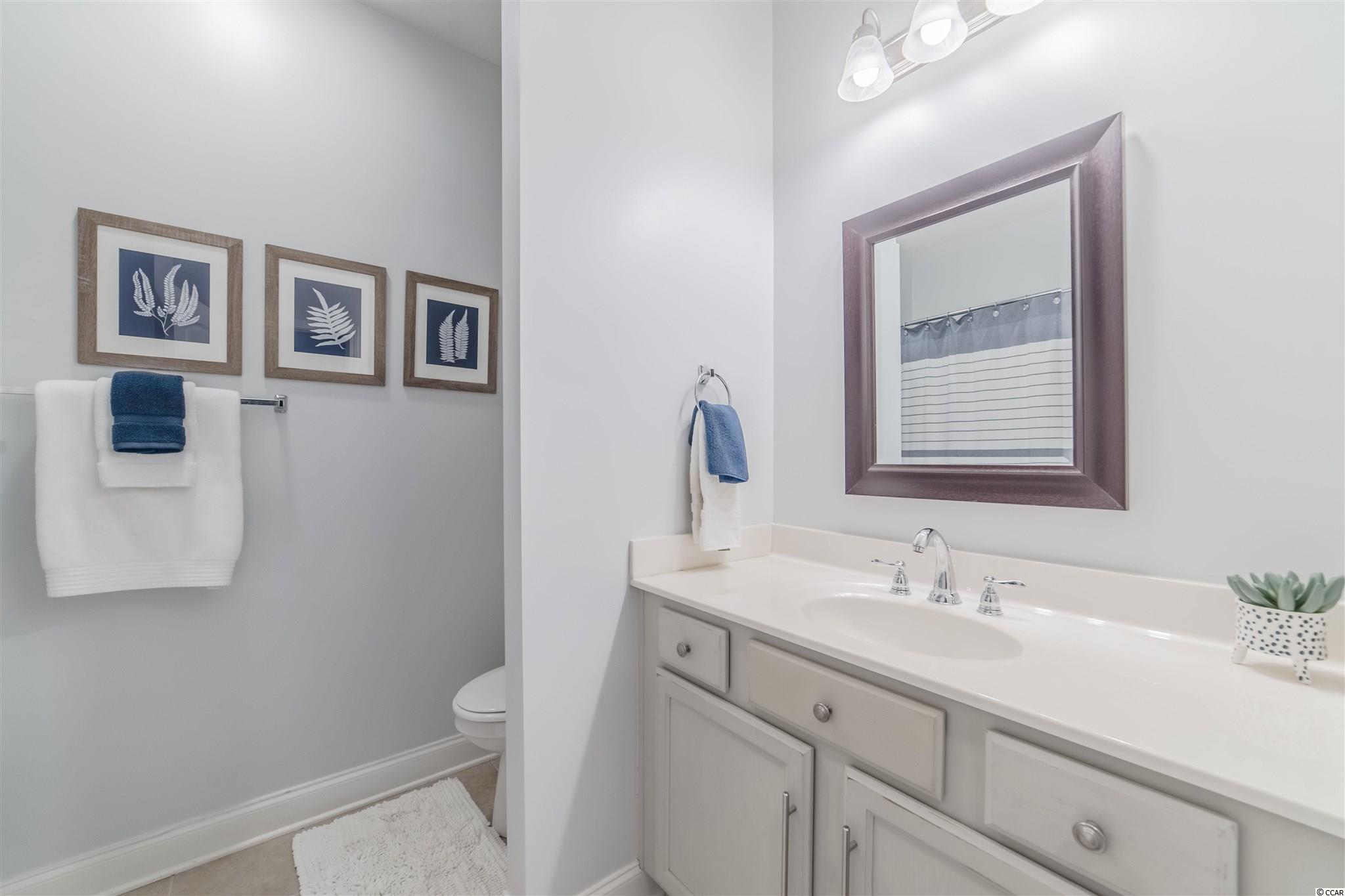 162 Shady Arbor Loop Longs, SC 29568 - Photo 23 of 32 Gallery Image 23