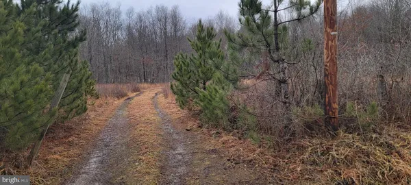 $255,000 | Camp Galilee Road, Terra Alta, WV 26764