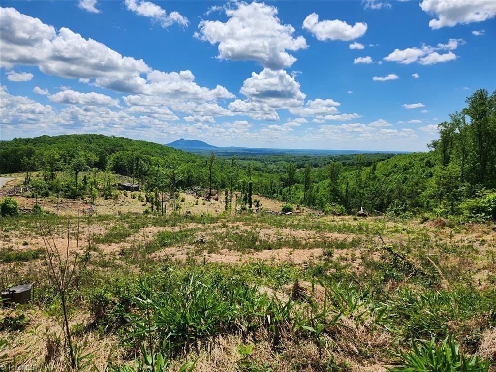 Lot 5 Howell Road Pilot Mountain, NC 27041 - Photo 1 of 1 Gallery Image 1
