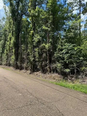 $378,000 | 14181 East Russell Town Road, Roseland, LA 70456