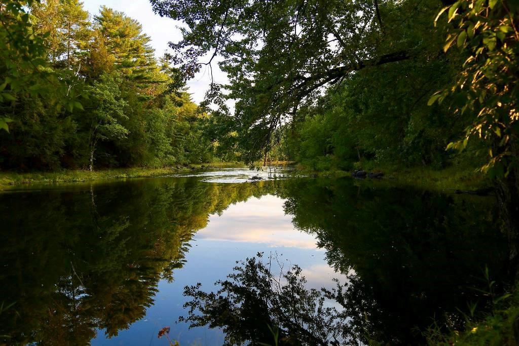 529 Bangor Road Benton, ME 04901 - Photo 22 of 23 the water frontage