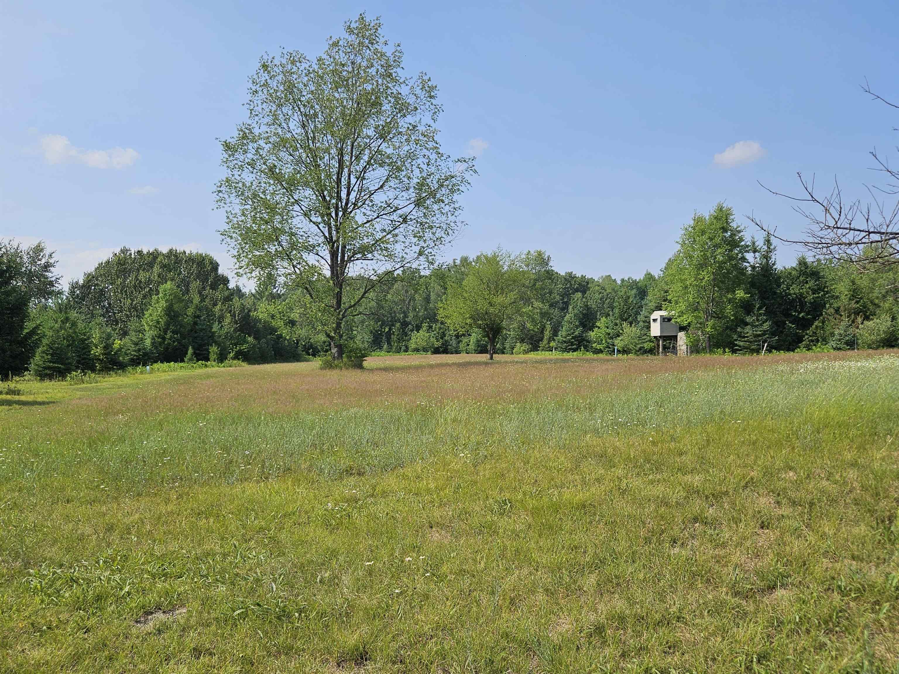 360 7 Mile Road Sears, MI 49679 - Photo 41 of 53