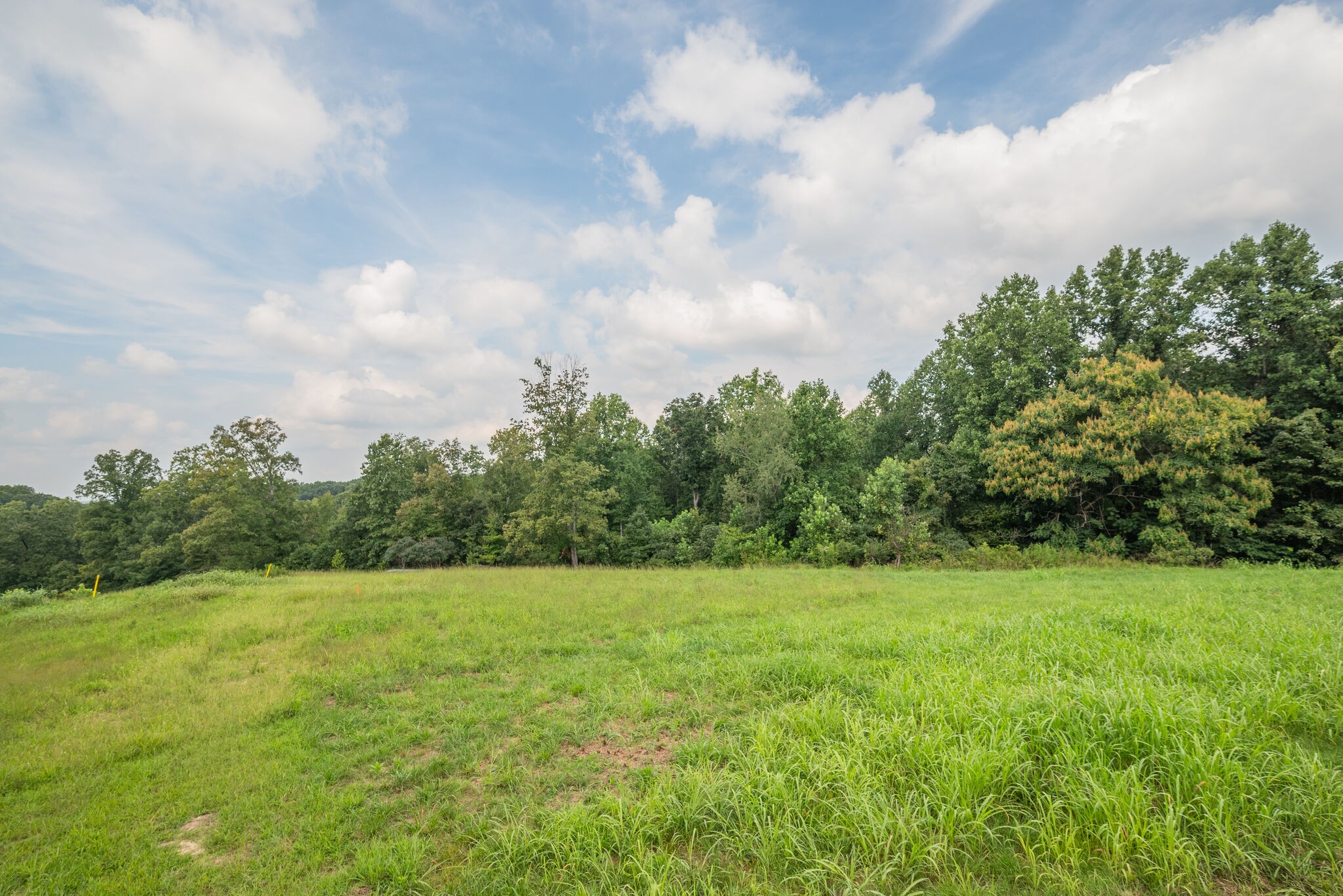 5633 Dividing Ridge Road Goodlettsville, TN 37072 - Photo 46 of 48 Gallery Image 46