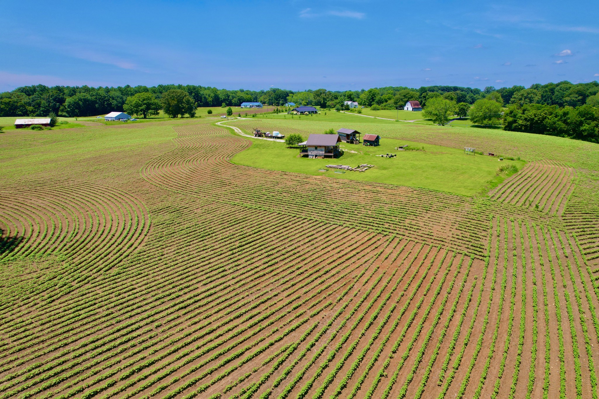 8 Lambs Ferry Road Leoma, TN 38468 - Photo 39 of 53