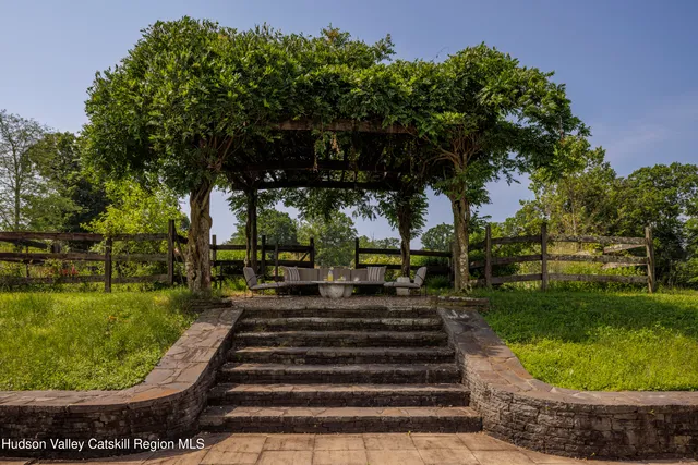 a view of a yard with plants