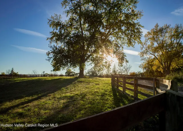 a view of a garden with an outdoor space