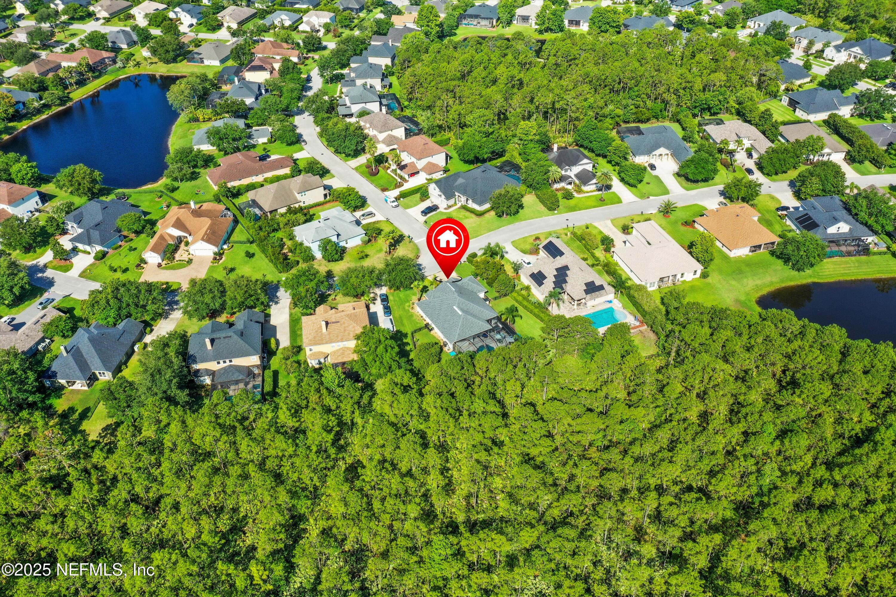 648 Battersea Drive St. Augustine, FL 32095 - Photo 51 of 59 Consevaion behind