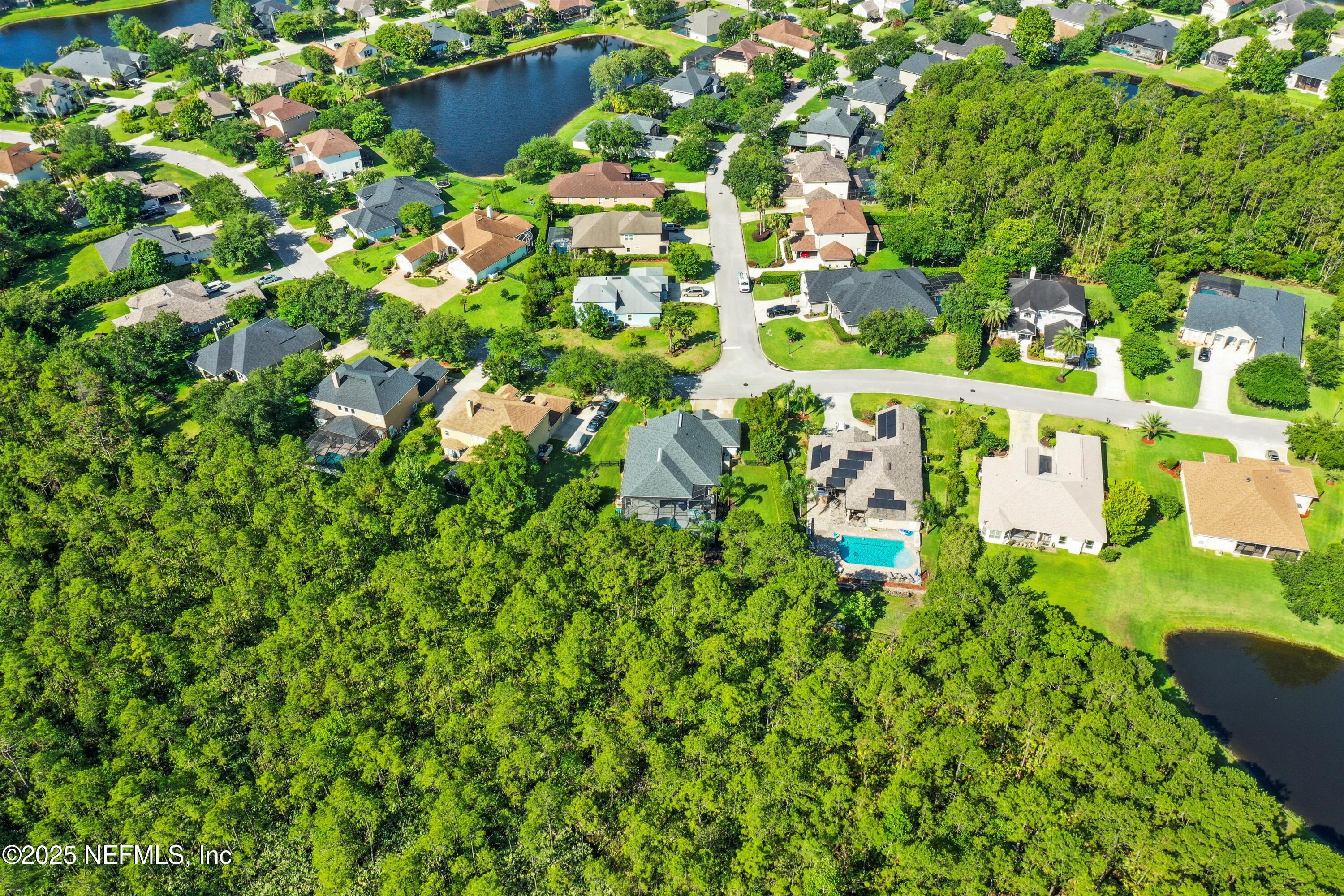 648 Battersea Drive St. Augustine, FL 32095 - Photo 56 of 59 a backyard of a house with lots of green space