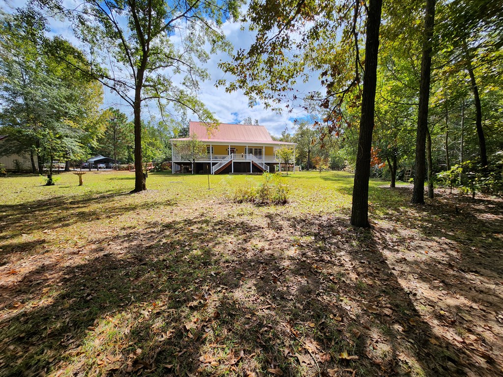 742 County Line Road Buena Vista, GA 31803 - Photo 3 of 74 Gallery Image 3